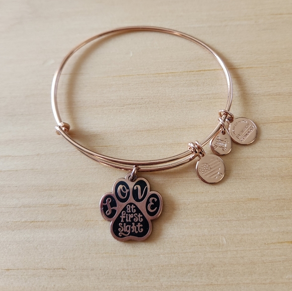 Alex & Ani Bracelet - Picture 1 of 2
